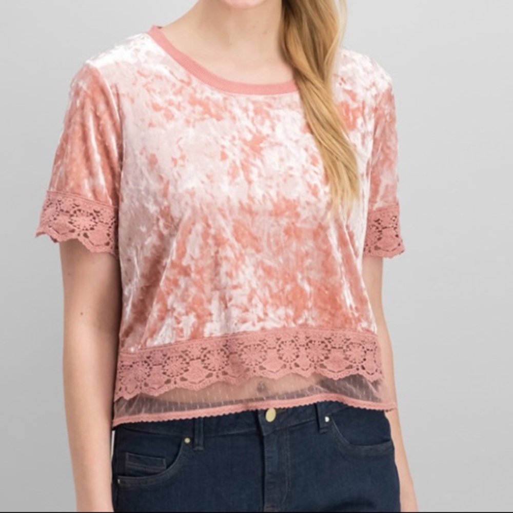 Pink Velvet Crop Top💕